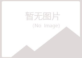 白银平川迎蓉制造有限公司